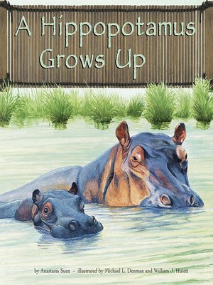 cover image of A Hippopotamus Grows Up